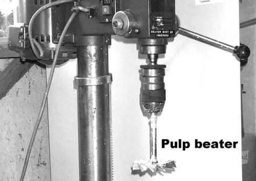 pulp beating