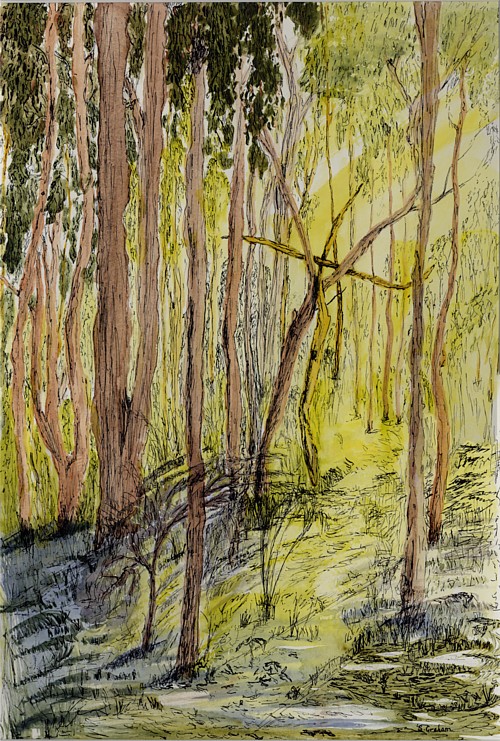 Bush Cross By Susanne Graham Bush Cross By Susanne Graham