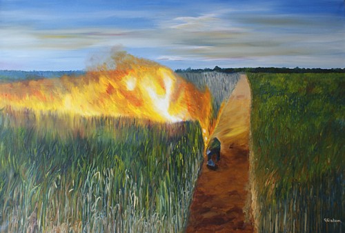 Canefire Cane Fire