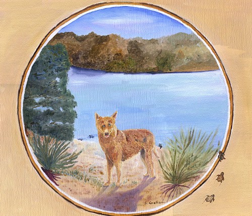 Dingo Kgari Dingo Kgari
