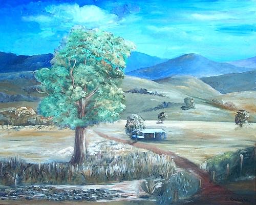 Omeo Sheep Country By Susanne Graham