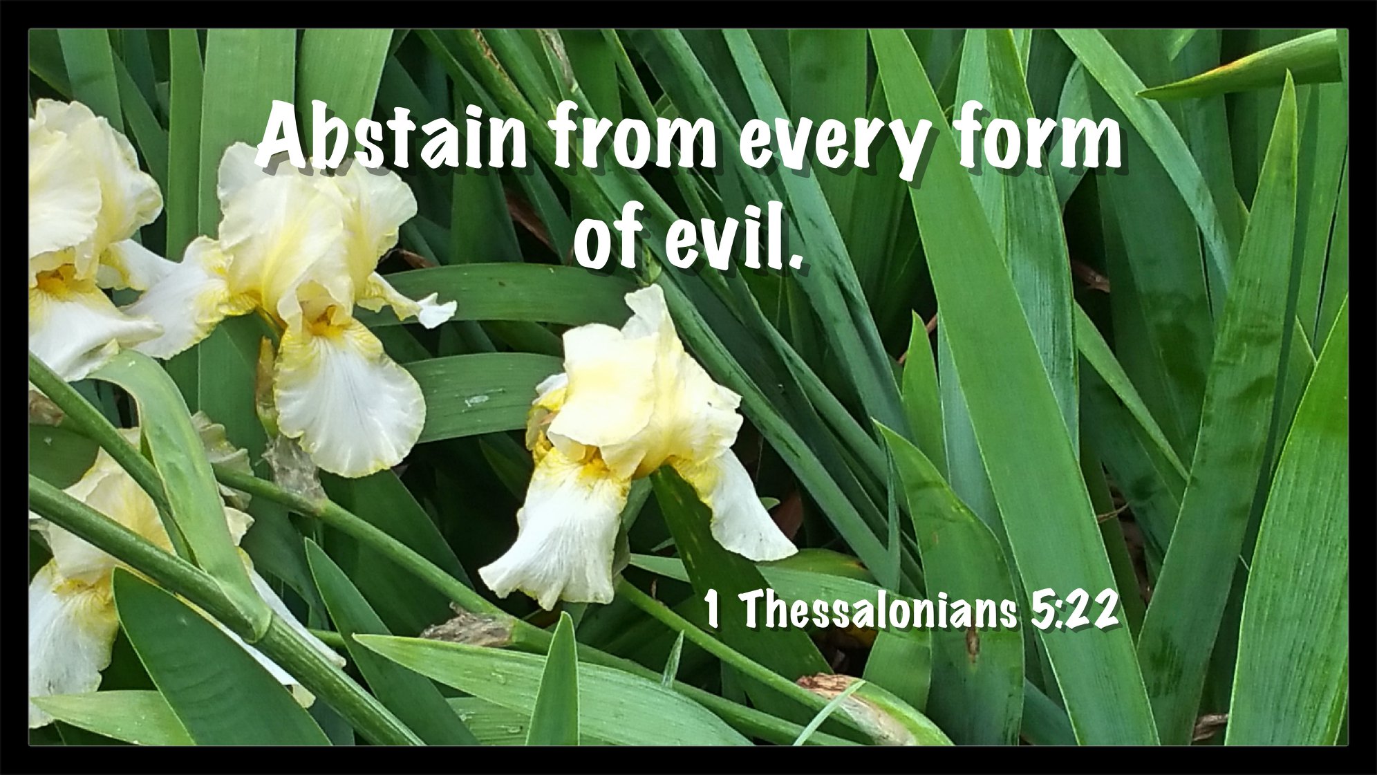 Abstain from evil